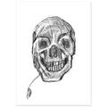 25b7d006-fceb-4f8e-8056-dd64bd78d9f0