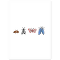 28a6eef4-e6c3-426d-92c4-fbecfdf8e63b